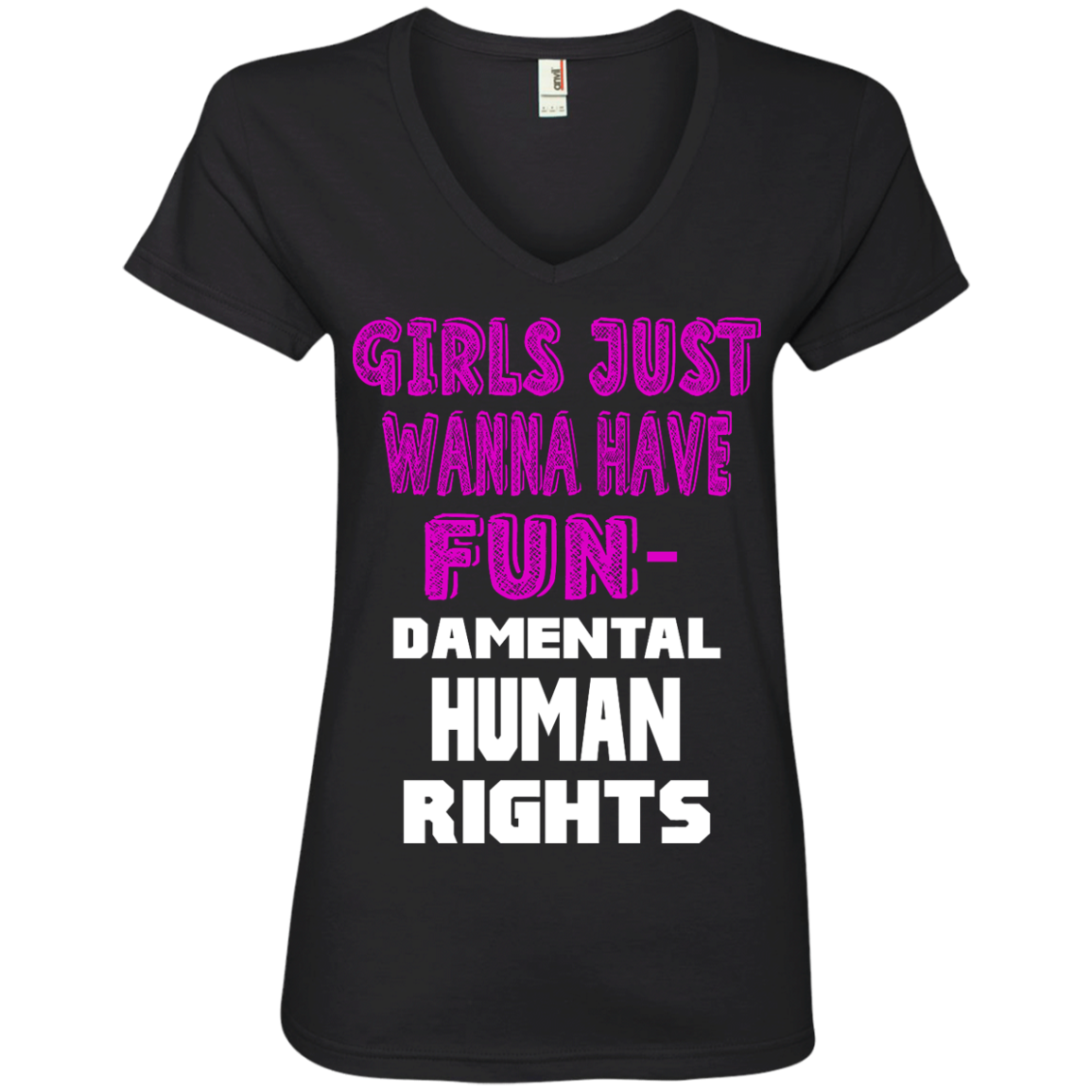 Girls Just Wanna Have Fun Damental Human Rights Ladies V Neck T Shirt Wind Vandy 