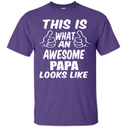 This is What an Awesome Papa Looks Like T-Shirt