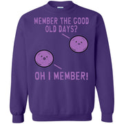 Member the Good Old Days? Member Berries Sweatshirt