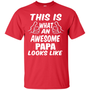 This is What an Awesome Papa Looks Like T-Shirt