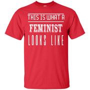 This is What a Feminist Looks Like T-Shirt