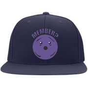 Member Berries Member? Flexfit Cap