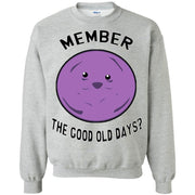 Member the Good Old Days? Member Berries Sweatshirt