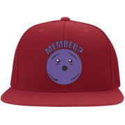 Member Berries Member? Flexfit Cap