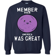 Member when America was Great? Sweatshirt