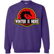 Winter is Here! Dracarys Mother of Dragons Park Jurassic Parody Sweatshirt