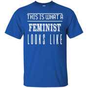 This is What a Feminist Looks Like T-Shirt