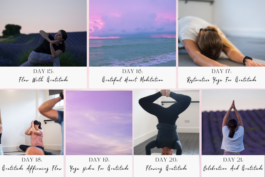 WEDOYOGA's 21 Day Gratitude Challenge | WEDOYOGA Studio