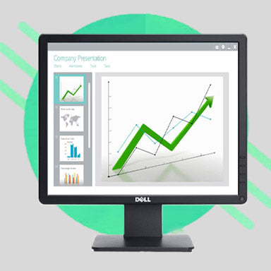 Dell 17 Business Monitor, E1715S