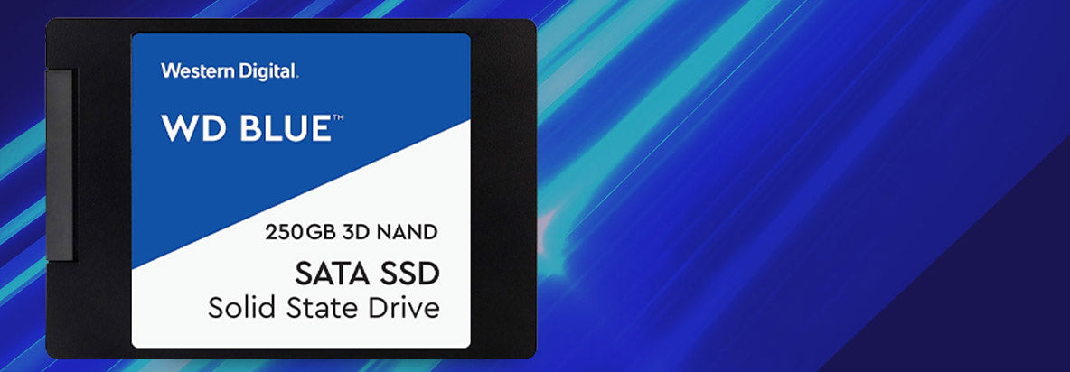 Buy Western Digital Blue 250GB 3D NAND WDS250G2B0A Online 