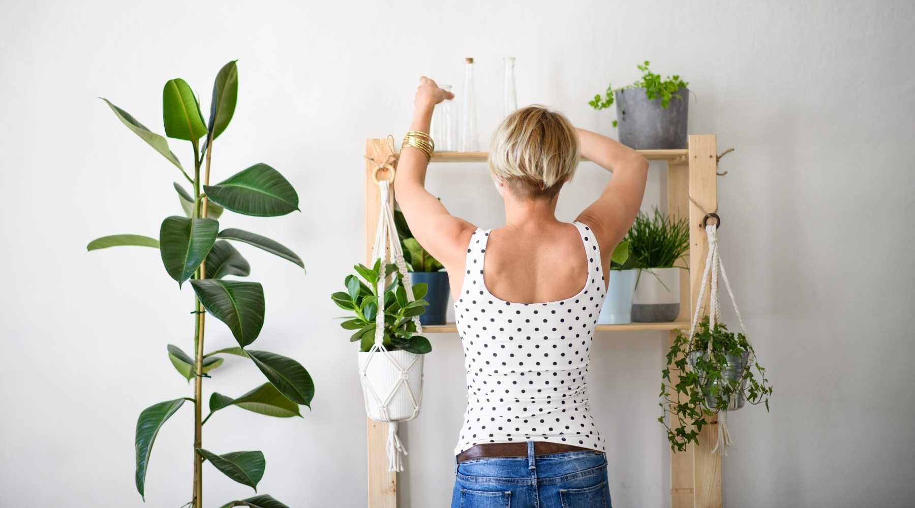 Indoor plants and interiors styling