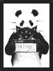 Cuadro Bad Panda