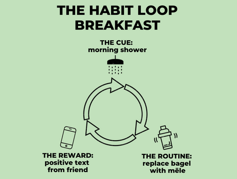 the habit loop