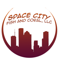 Spacecityfishandcoral.com Coupons