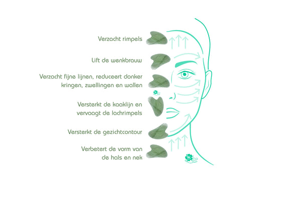 gua sha, guasha