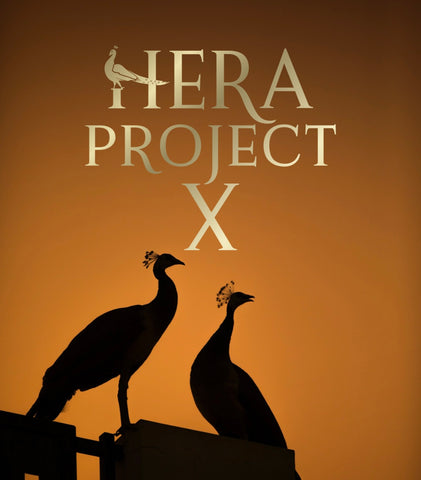 image of of two peacocks in silhouette,in black against an orange background with the workds Hera Project X in gold above.