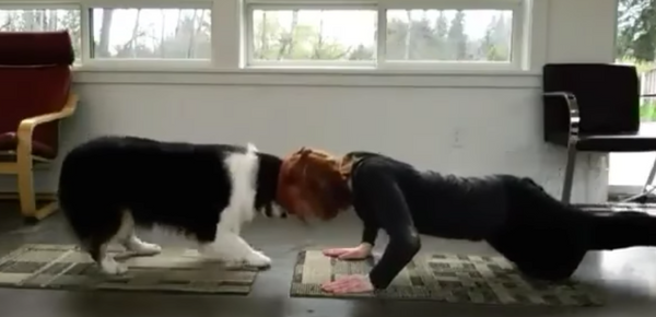 dog-yoga