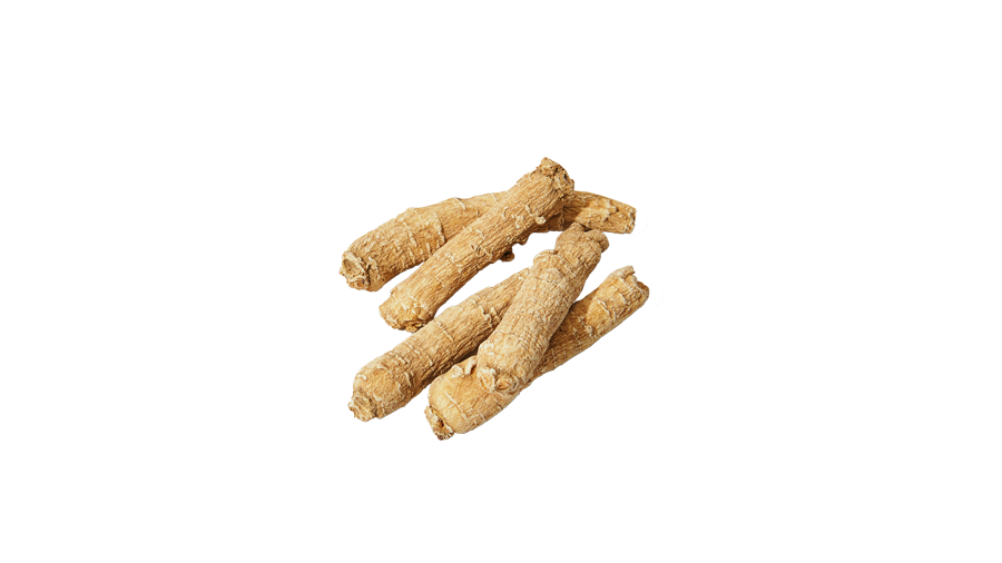 Ontdek de kracht van ginseng: Alles wat je moet weten!