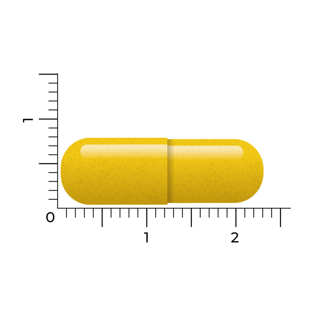 vitakruid berberine 500 60 capsules 4