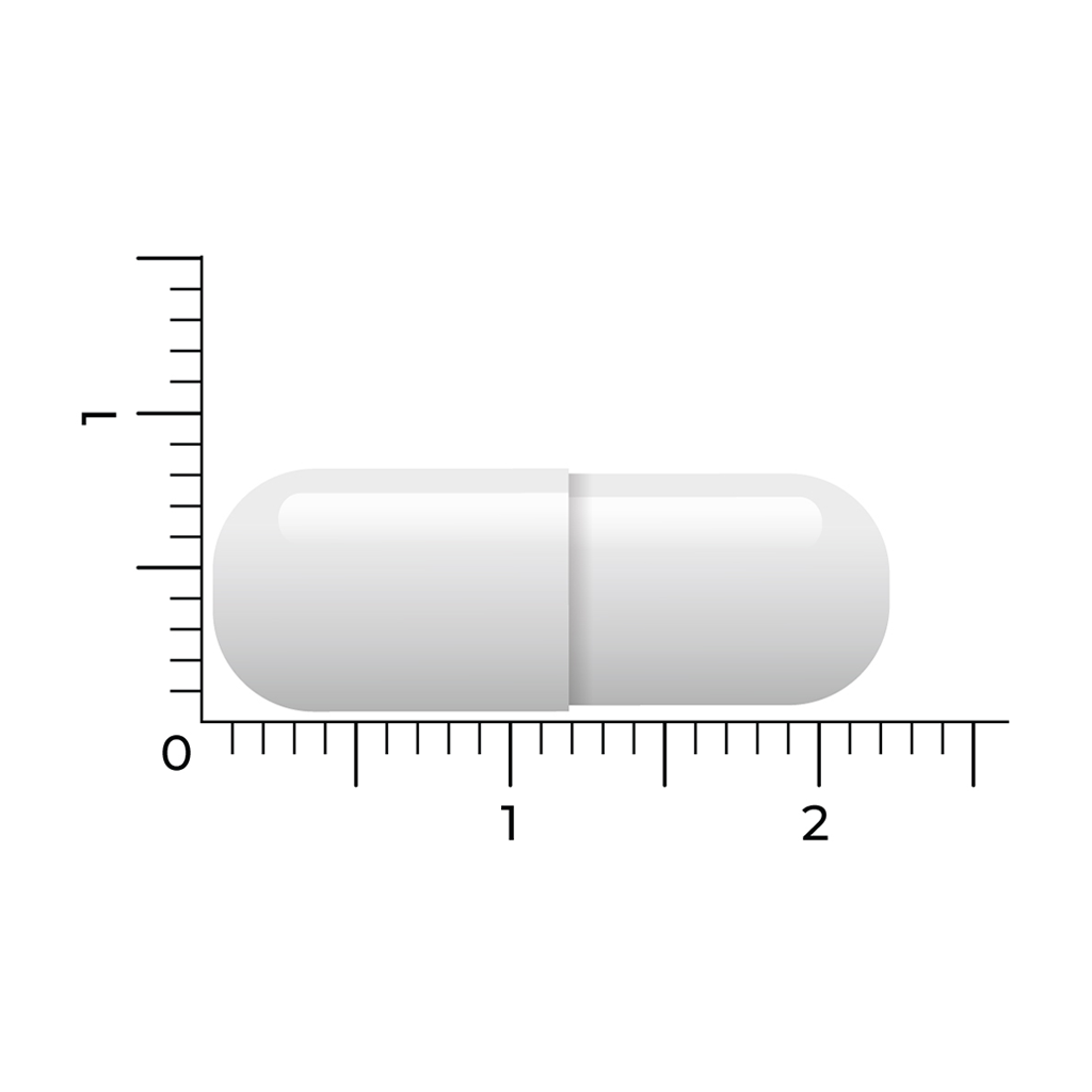 vitakruid magnesium tauraat 90 4