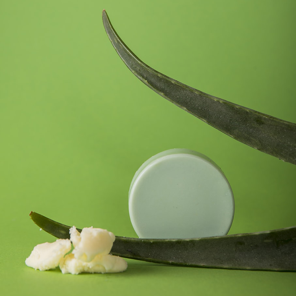 plasticvrije en natuurlijke conditioner bar voor verzorgd haar aloe vera love plant