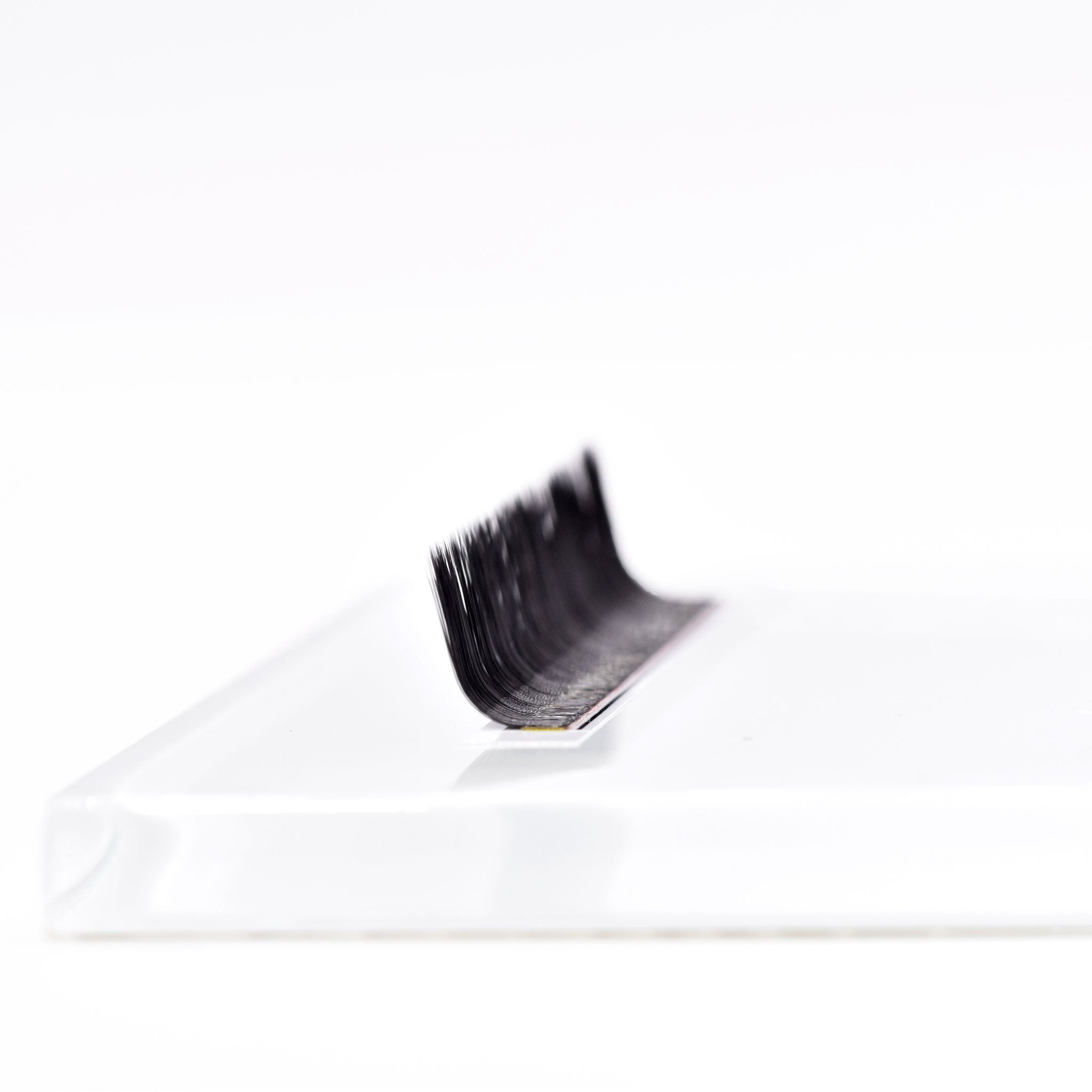 V Curl Lashes