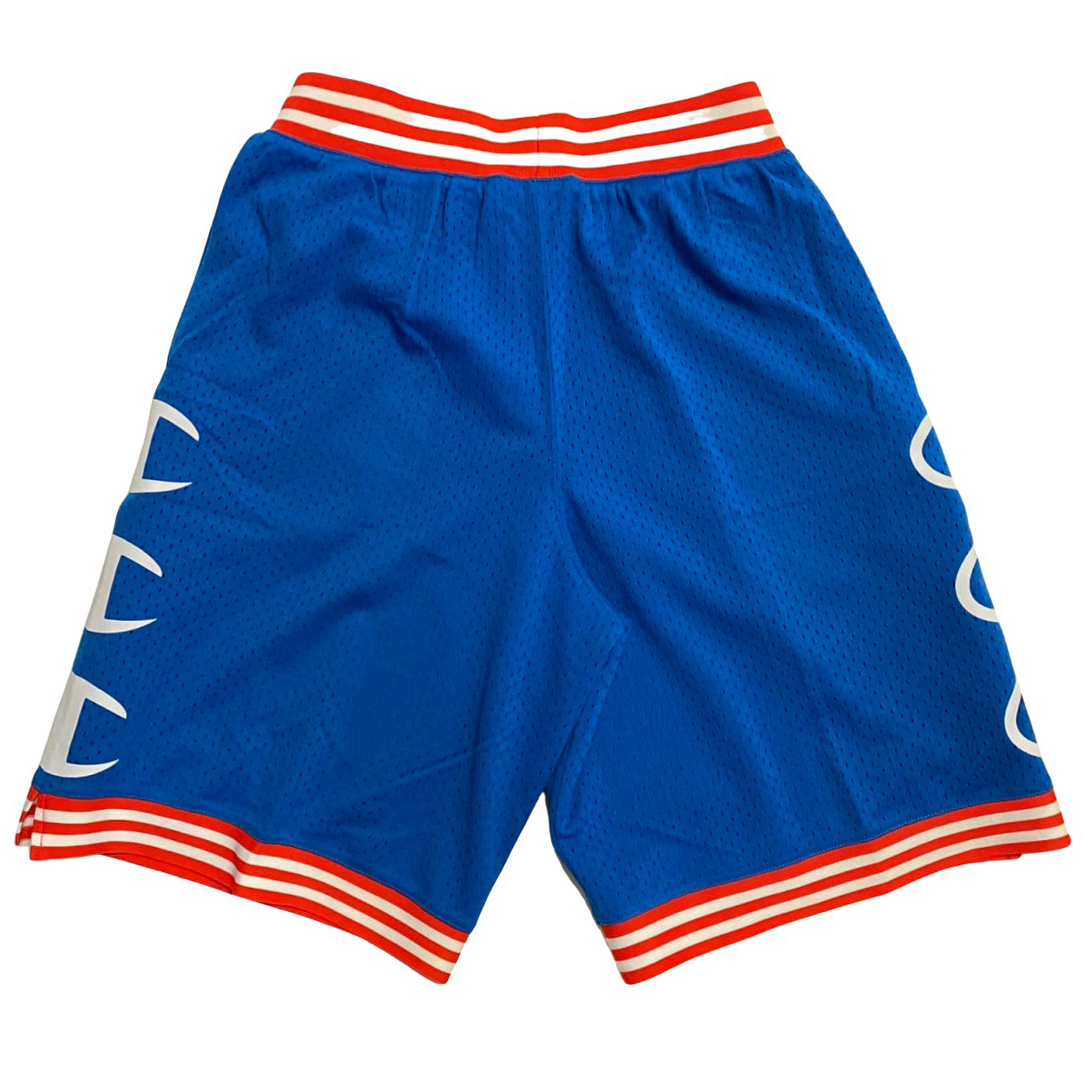 champion mesh shorts men