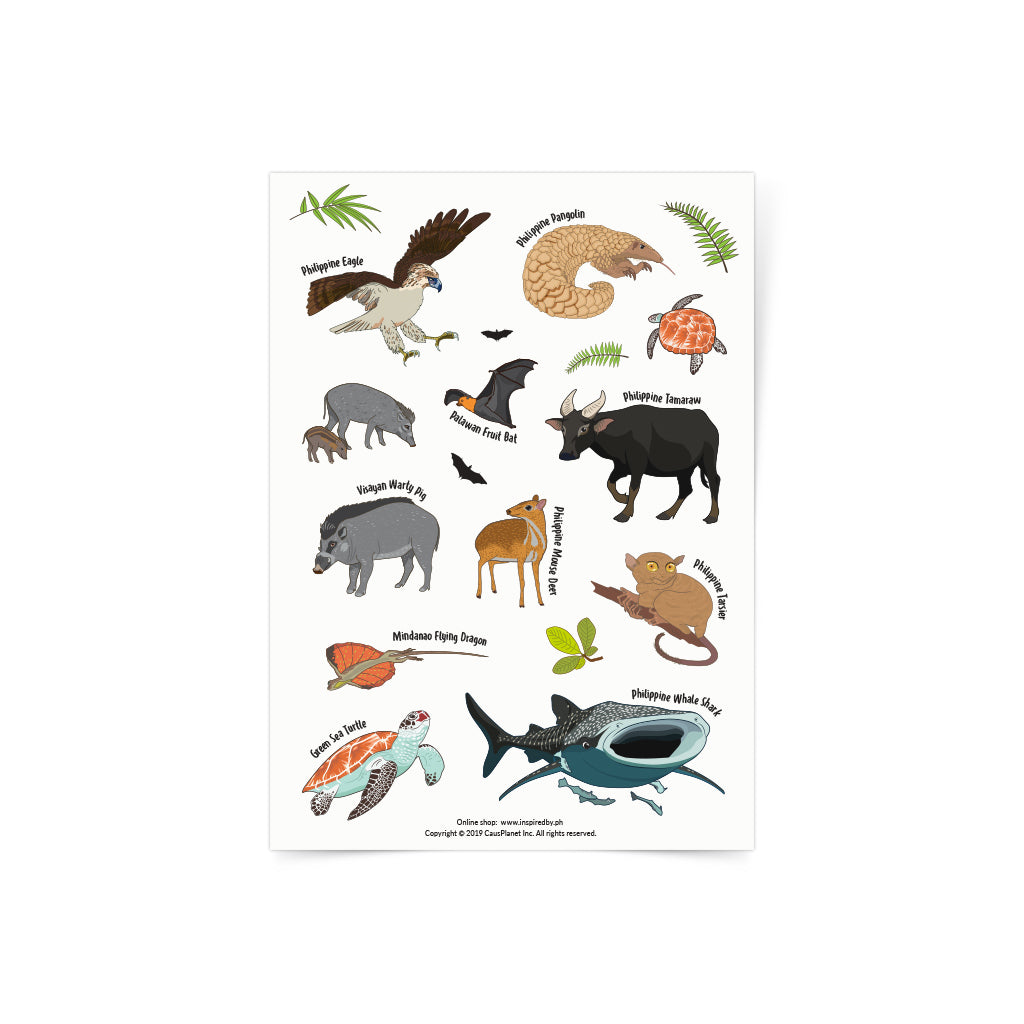 Buy Philippine Animals Sticker Sheet in online shop – Philippine souvenirs shop online1024 x 1024