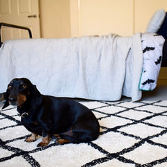 Cotton Berber Black Washable Rug