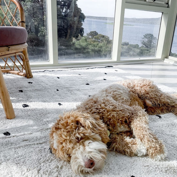 Pet Friendly Washable Rugs – Oh Happy Home