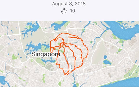 Strava art of a merlion's head