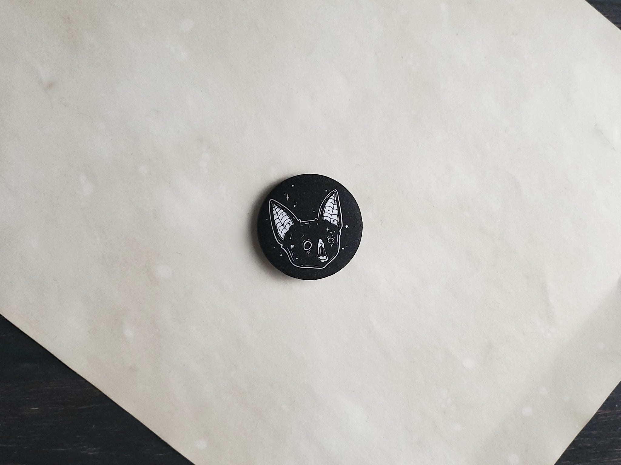 Pin on Instagram Bat Photos