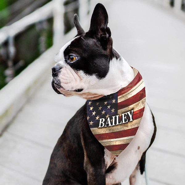 pet accessories - dog bandana with name - cat bandana with name - party ideas - GearDen.com