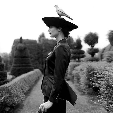 Rodney Smith Hat Bird