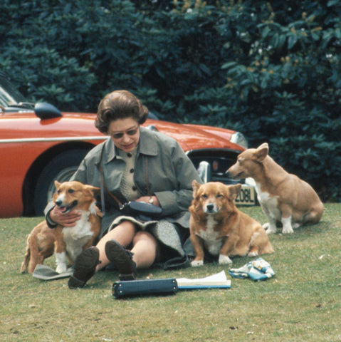 Queen with her dogs