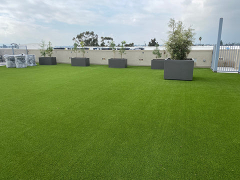 deck turf on roof deck
