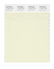 Pantone SMART Color Swatch 11-0410 TCX Sylvan Green