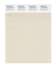 Pantone SMART Color Swatch 12-0304 TCX Whitecap Gray