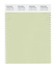 Pantone SMART Color Swatch 12-0313 TCX Seafoam Green