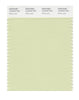 Pantone SMART Color Swatch 12-0315 TCX White Jade