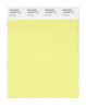 Pantone SMART Color Swatch 12-0530 TCX Charlock