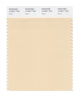 Pantone SMART Color Swatch 12-0811 TCX Dawn