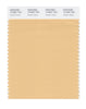 Pantone SMART Color Swatch 12-0921 TCX Golden Straw