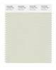 Pantone SMART Color Swatch 12-6204 TCX Silver Green