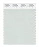 Pantone SMART Color Swatch 12-6205 TCX Milky Green