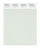 Pantone SMART Color Swatch 12-6208 TCX Phantom Green