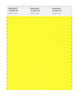 Pantone Nylon Brights Color Swatch 12-0645 TN Lemon Tonic