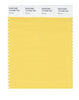 Pantone SMART Color Swatch 12-0758 TCX Yarrow