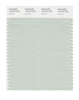 Pantone SMART Color Swatch 13-0107 TCX Dewkist