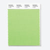 Pantone Polyester Swatch Card 13-0240 TSX Tomatillo